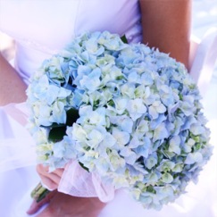 http-::www.bellabeachweddings.com:beach-wedding-bouquets